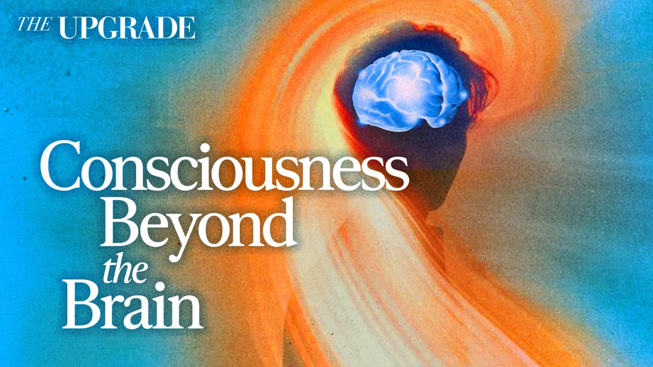 Scientists Were Wrong About Consciousness — Consciousness Beyond the Brain